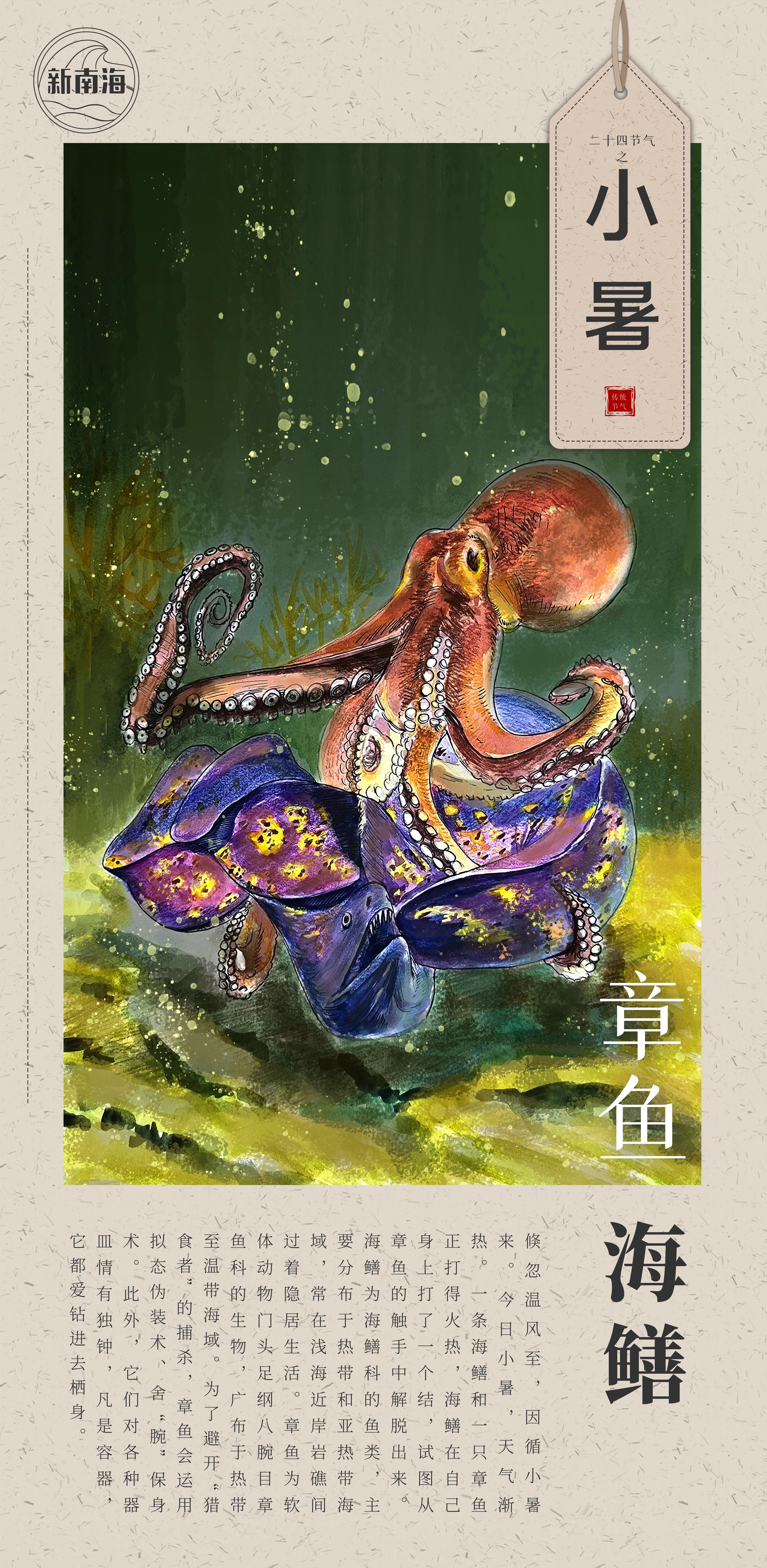 小暑