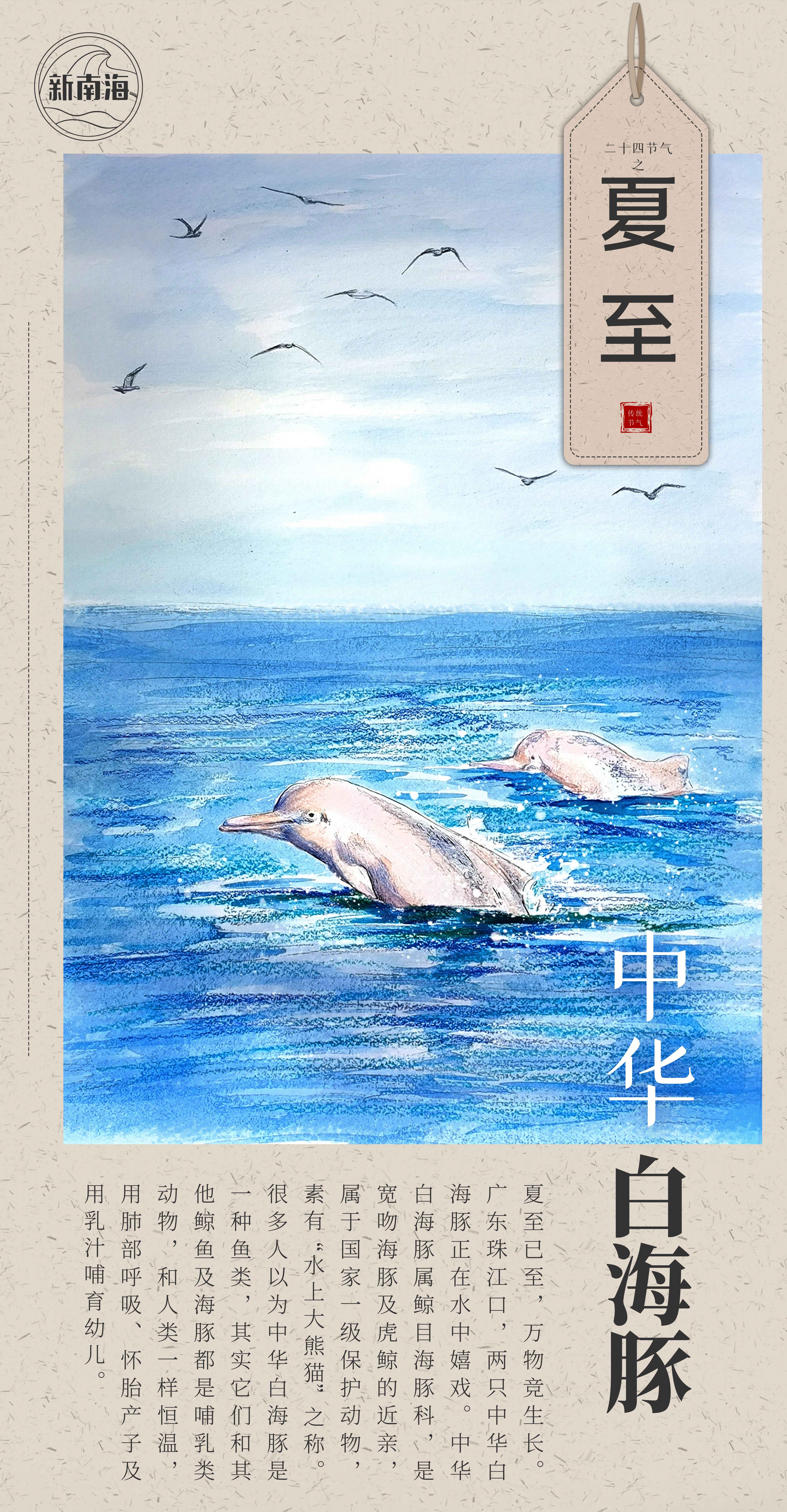 夏至
