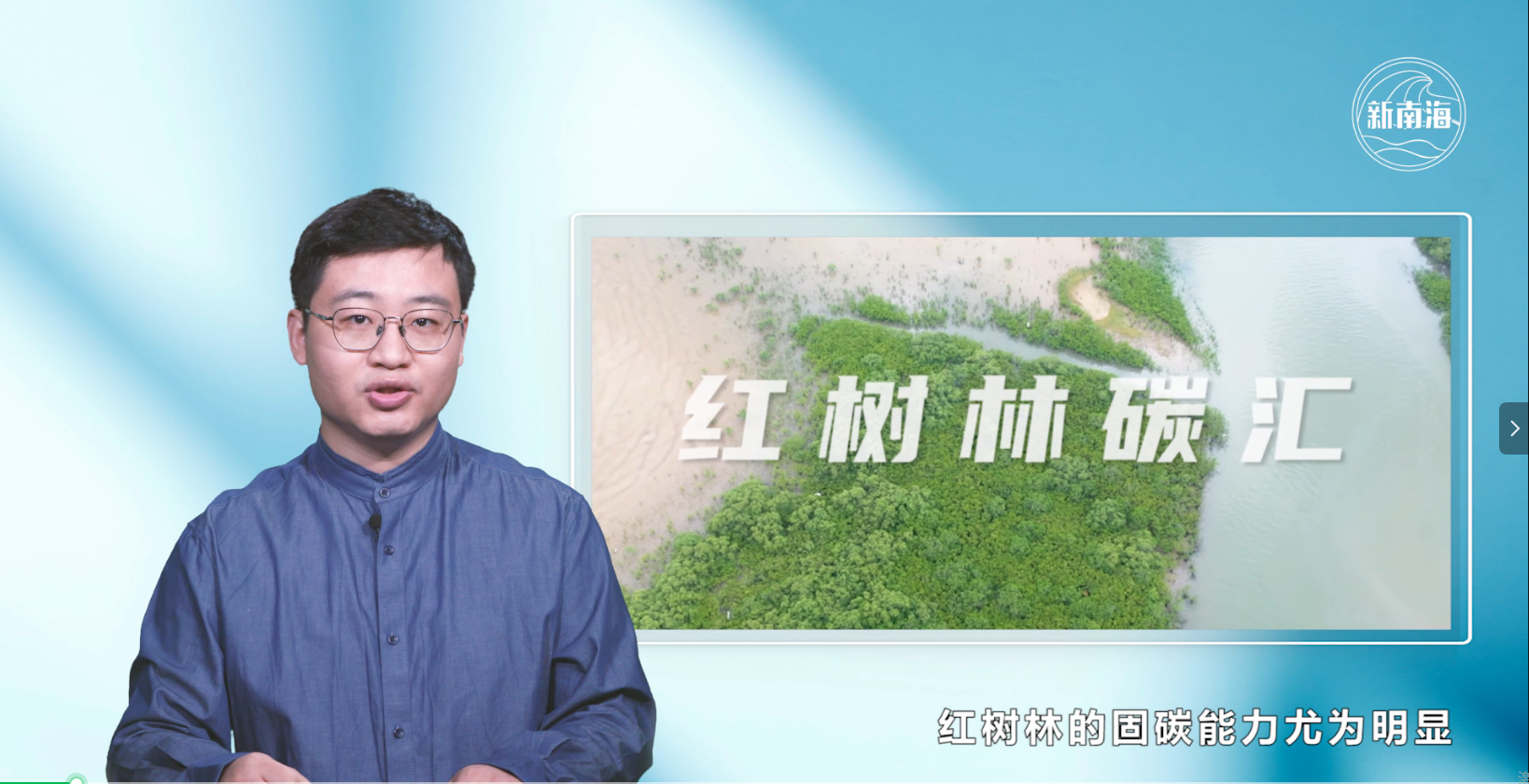 红树林碳汇