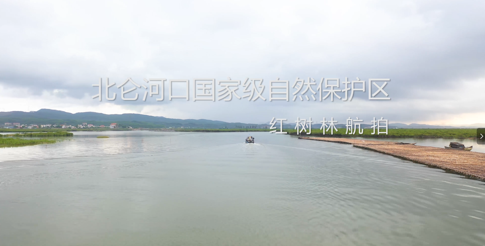 红树林航拍