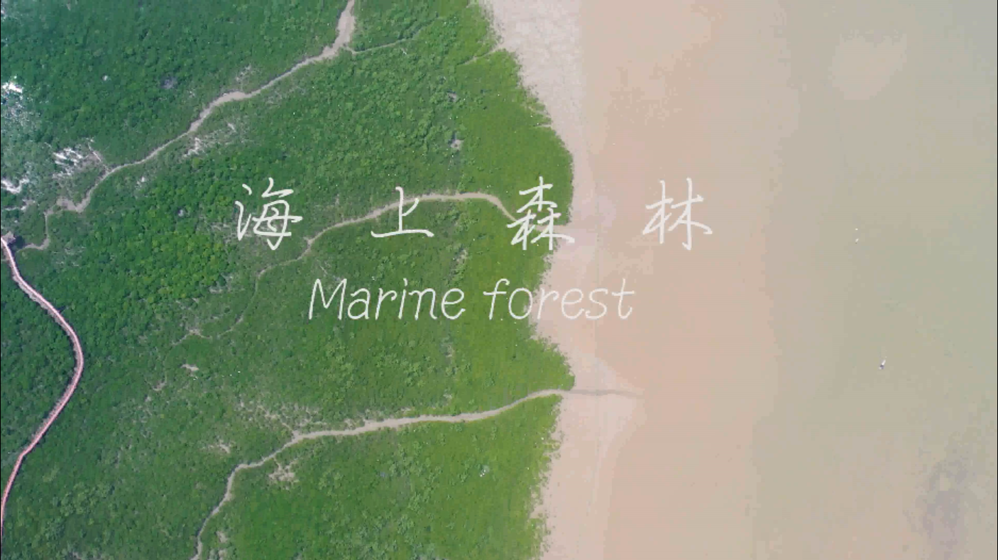 海上森林