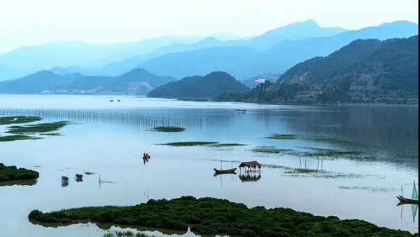 解码红树林 | 我国有哪些国家级红树林自然保护区（上）