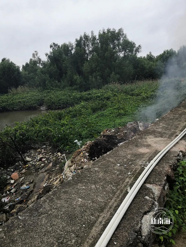 在红树林旁边堤岸上焚烧垃圾