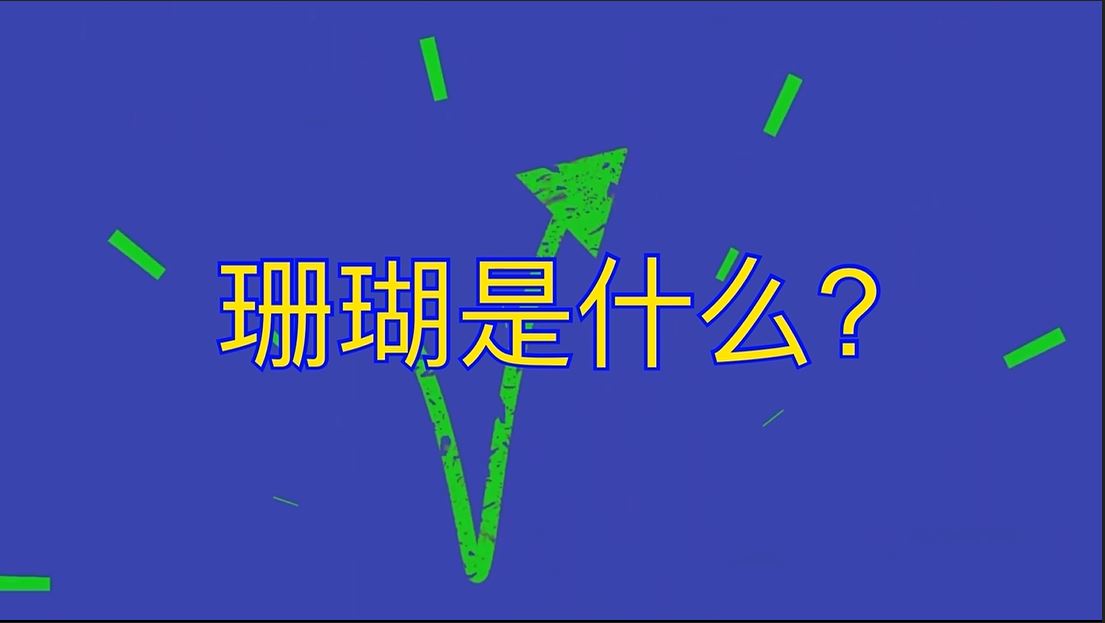 解码珊瑚礁｜珊瑚是什么？