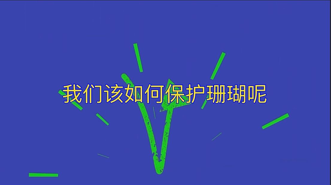 解码珊瑚礁｜我们该如何保护珊瑚呢？
