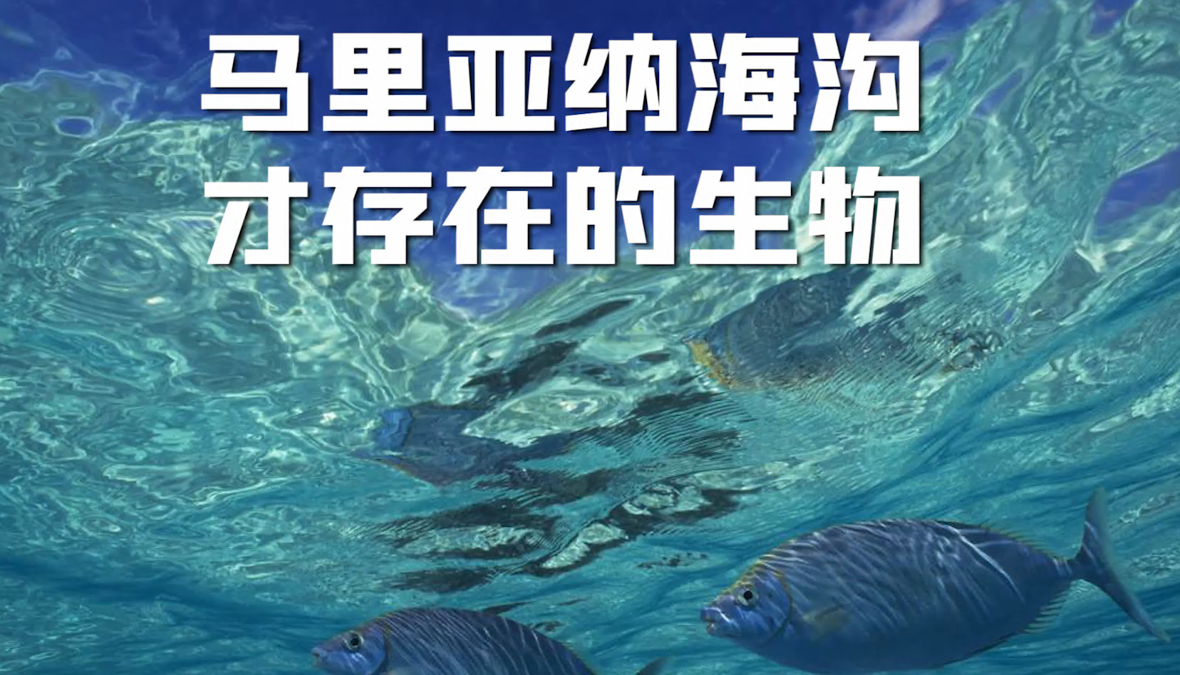 只有在马里亚纳海沟才有的生物