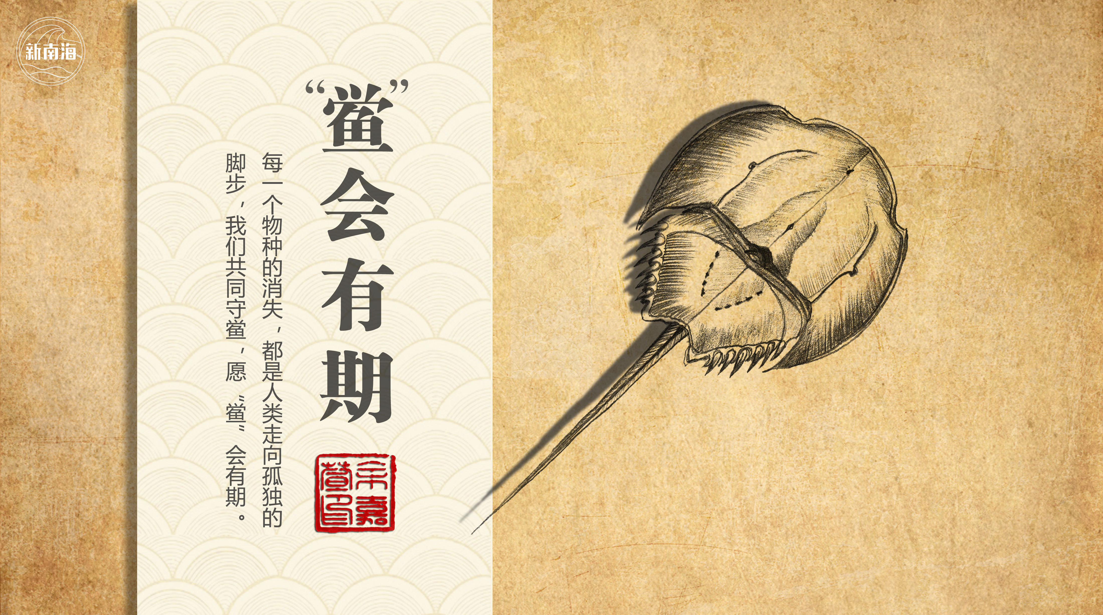 世界地球日 鲎会有期