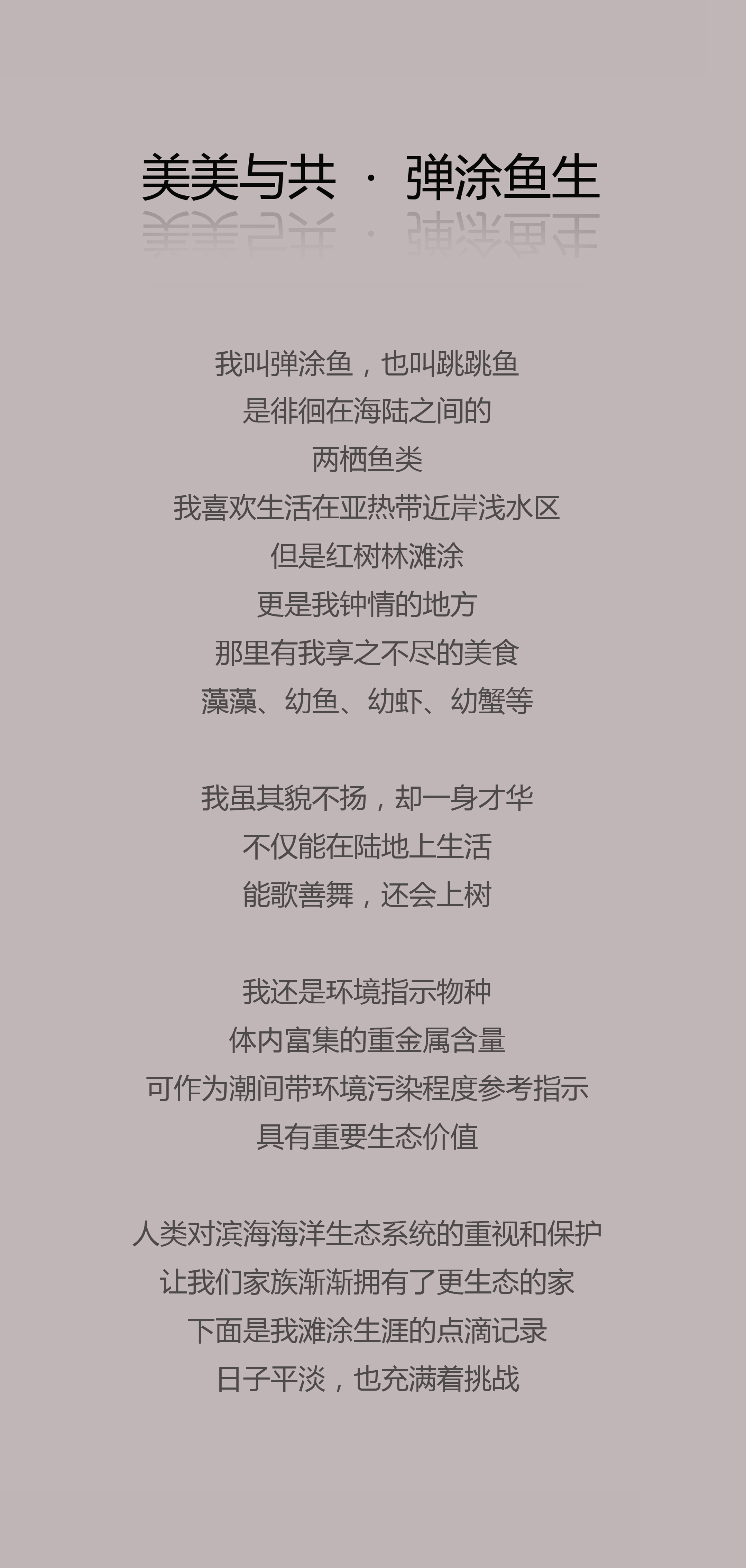 美美与共 弹涂鱼生