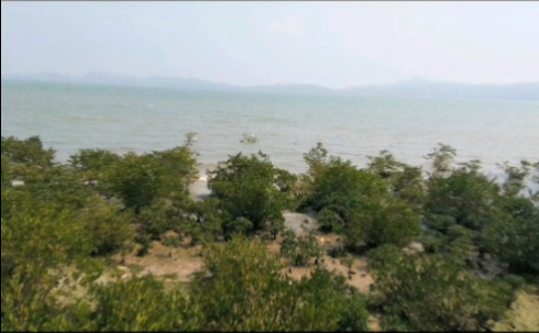 你眼中的海